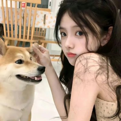 下一站彩虹国语